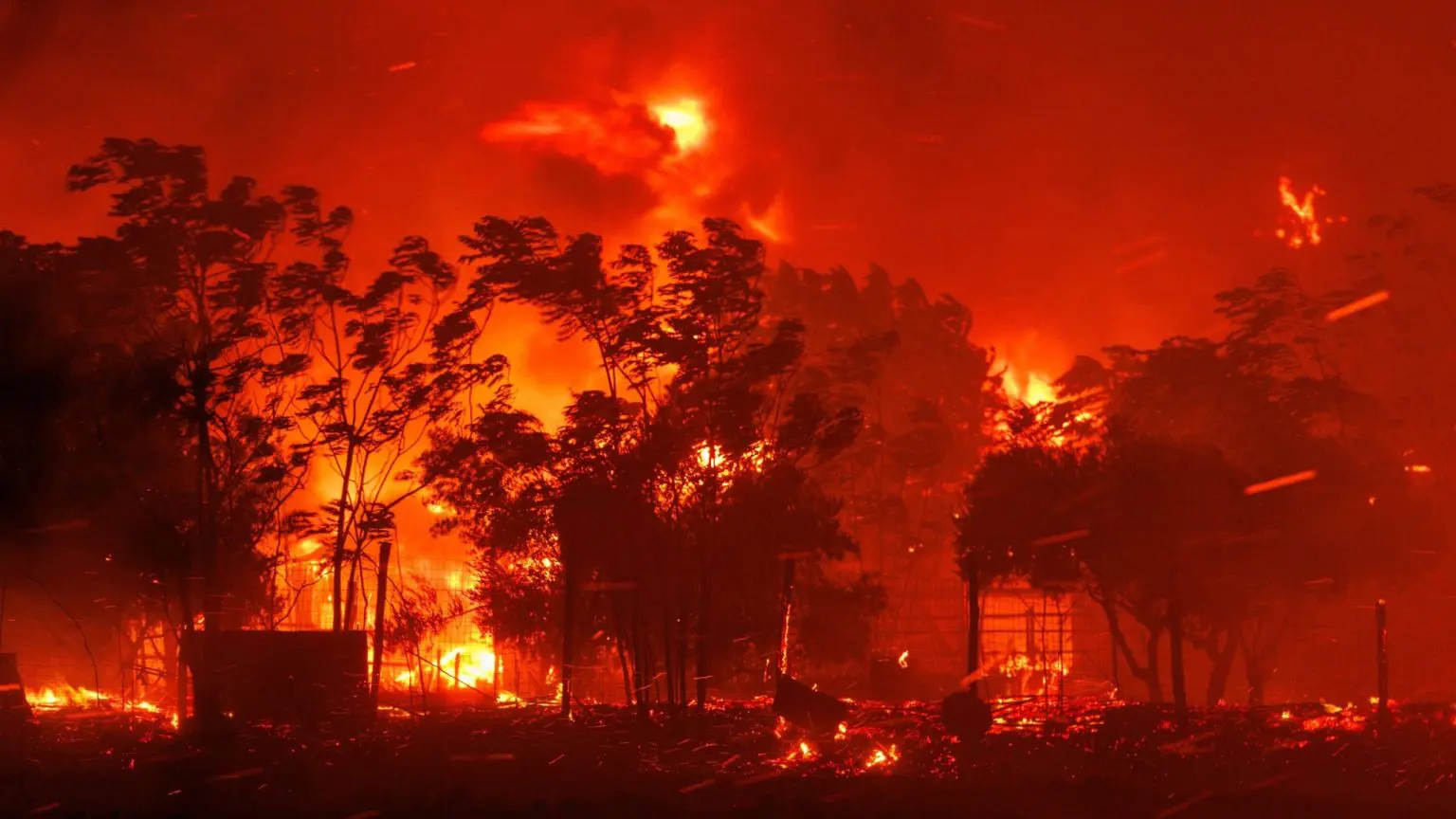 wildfires engulfing a forest in Greece. Photo Credit: AP.